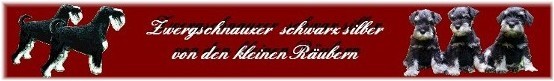 Banner Kleine Räuber