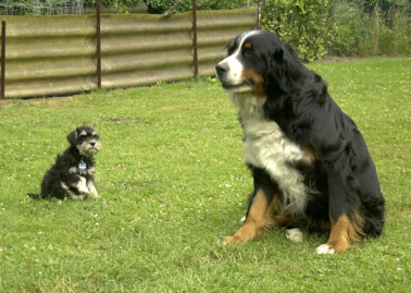 Kara mit Freundin